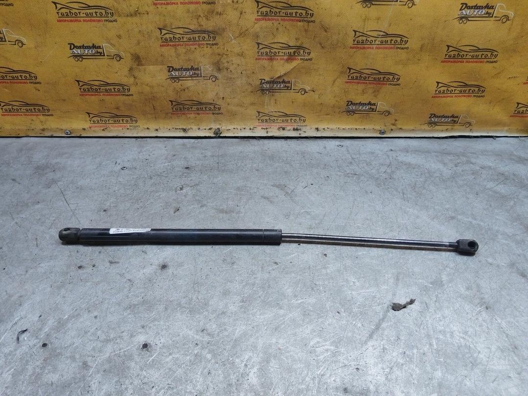 Амортизатор капота QANY1C Seat Toledo купить с доставкой