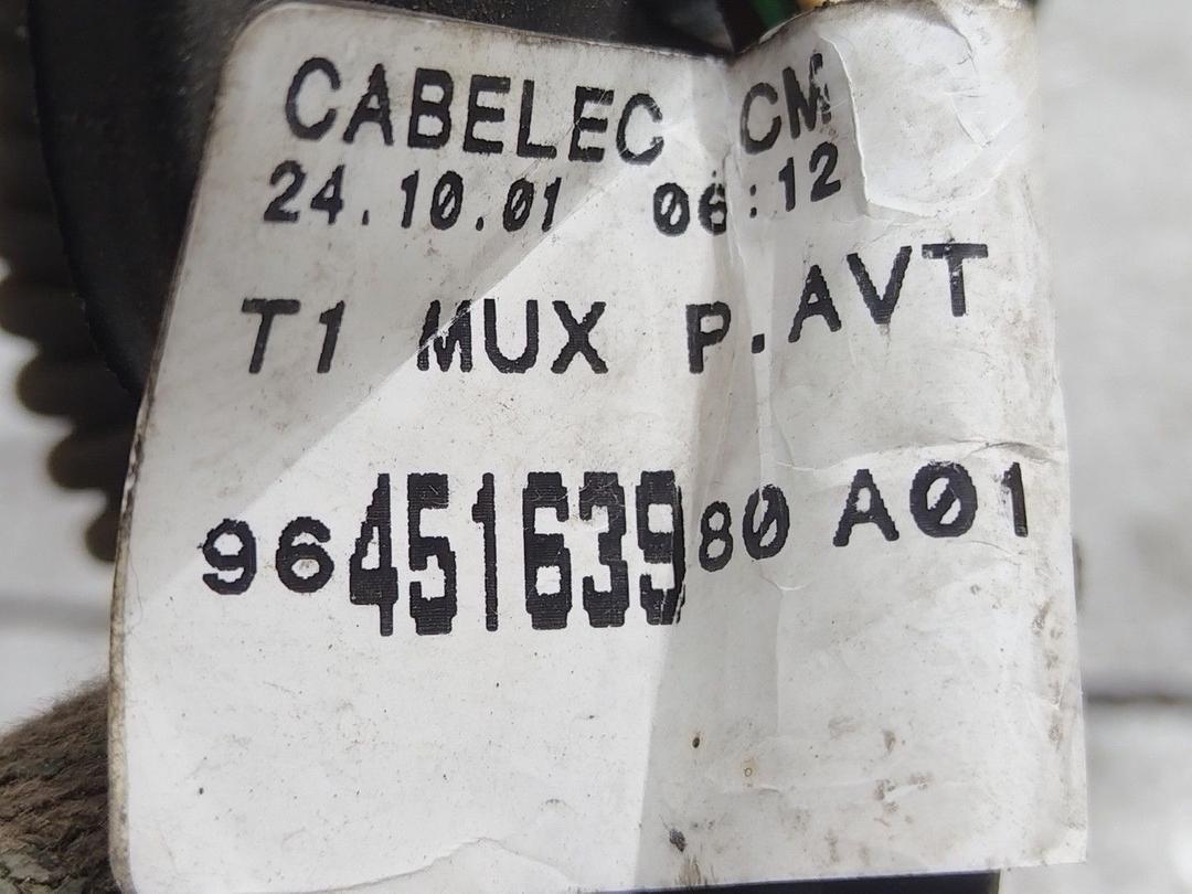 Проводка двери передней левой F9155P Peugeot 206 - Фото 5