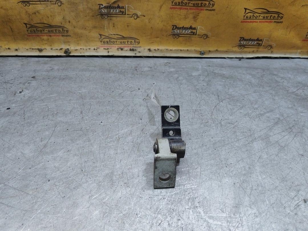 Петля двери задней правой TS7U4C Volkswagen Passat купить