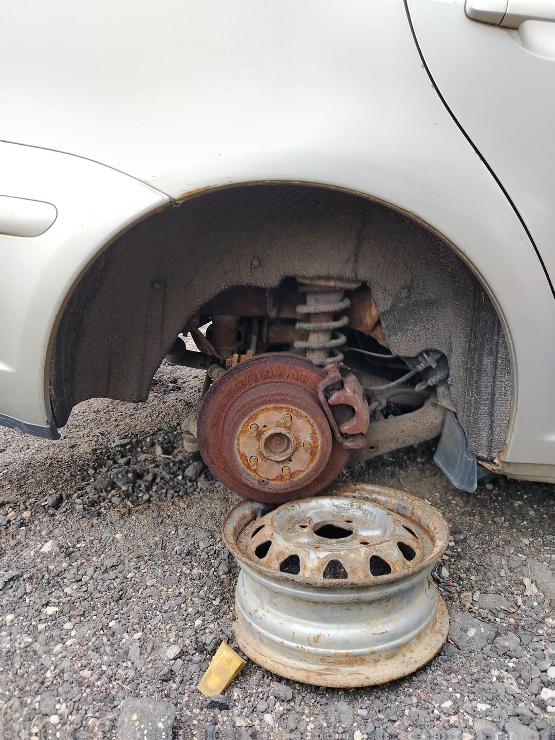 Защита арок задняя правая (подкрылок) W71VVS Toyota Avensis