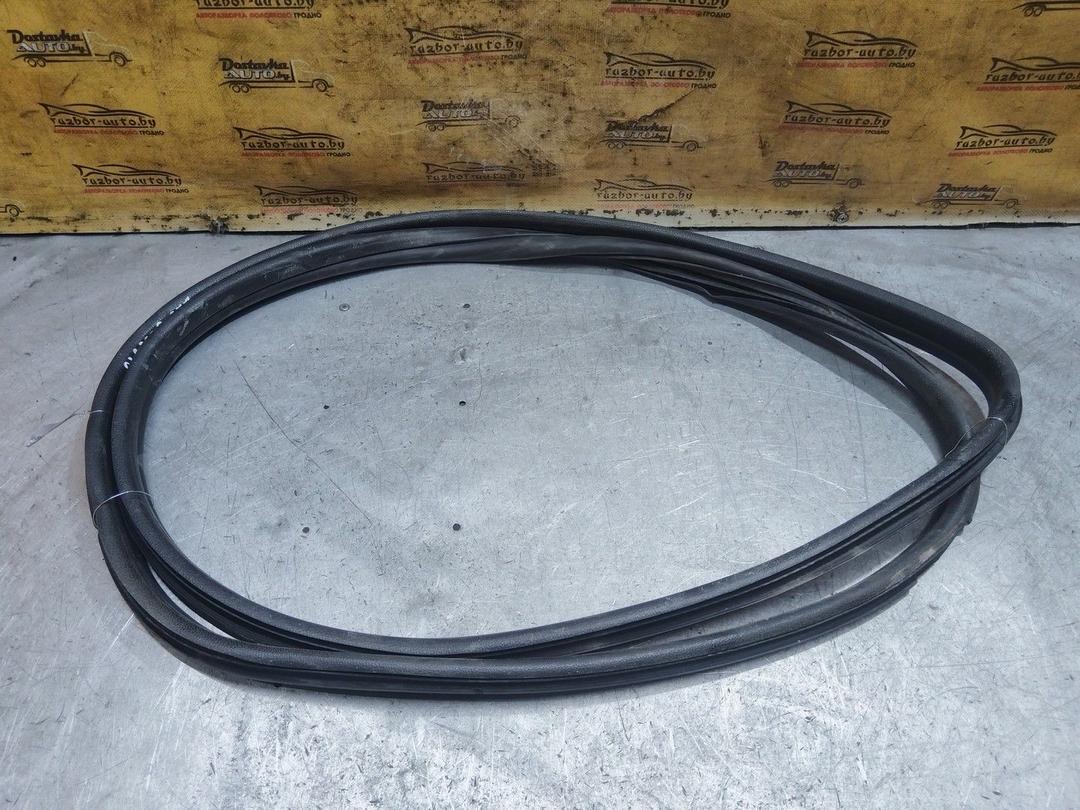 Уплотнитель двери передней левой Z6RN11 Citroen Xsara Picasso - Фото 1