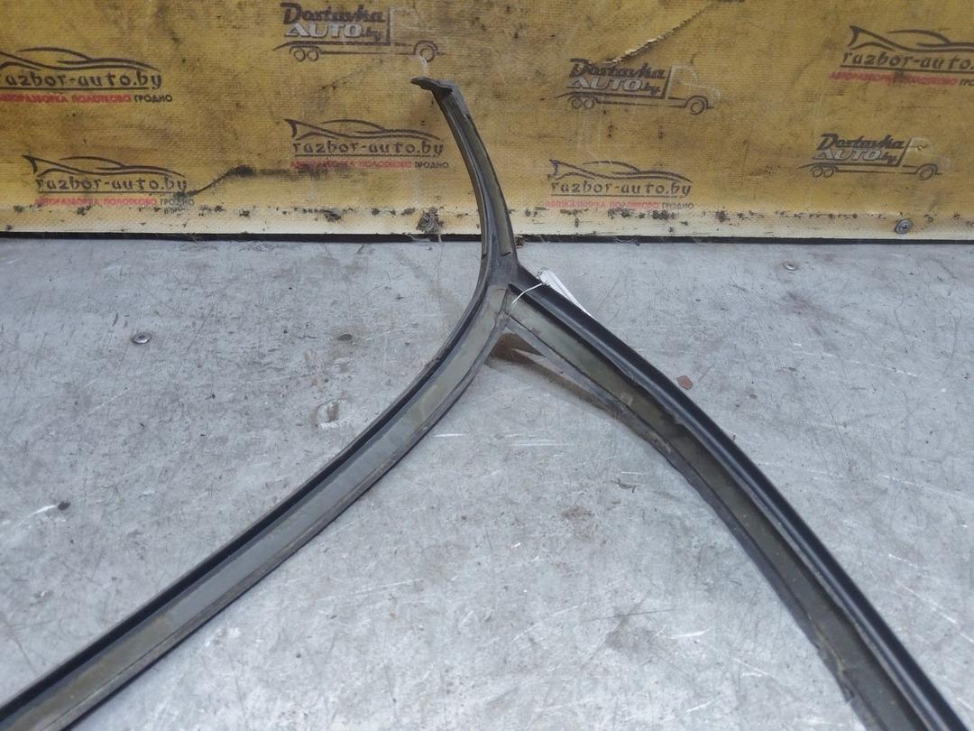 Молдинг стекла лобового WAEBHA Renault Espace купить с доставкой