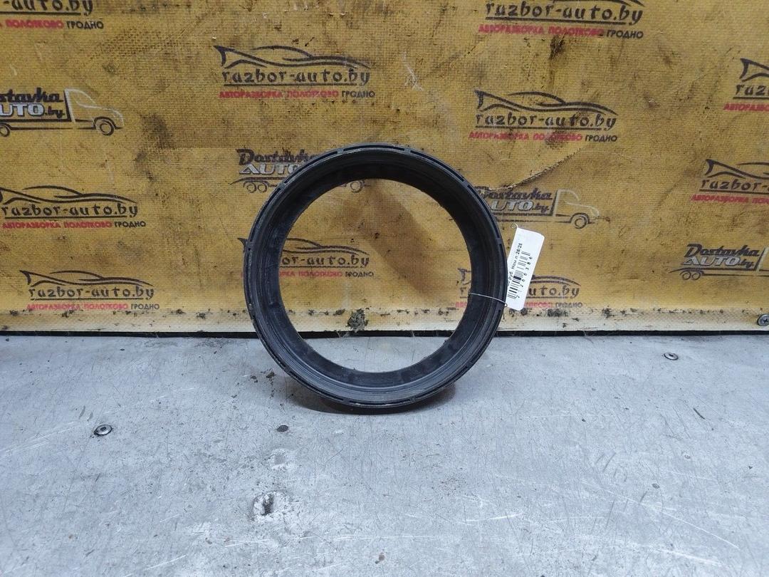 Кольцо зажимное топливозаборника 1TSILV Peugeot 206 купить с доставкой