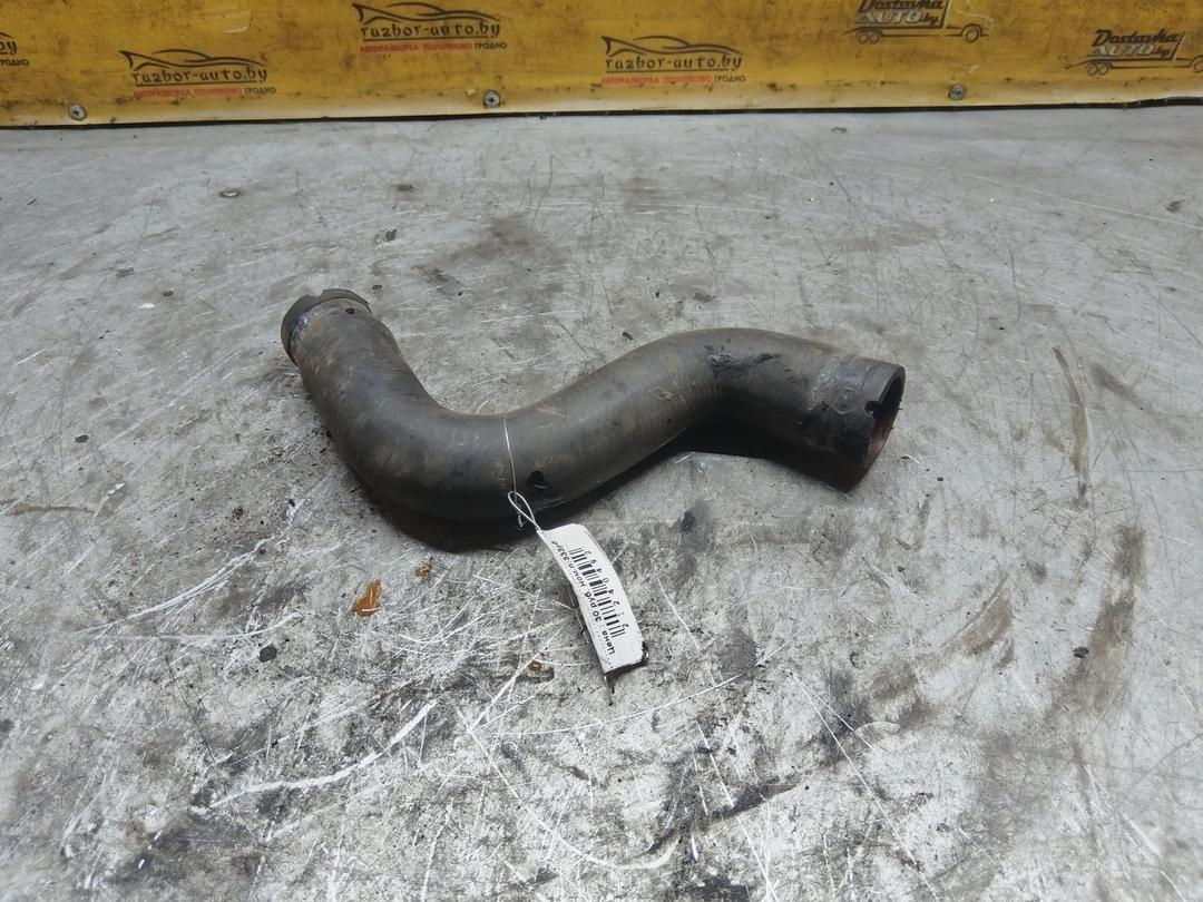 Патрубок радиатора 3PC047 Fiat Punto купить