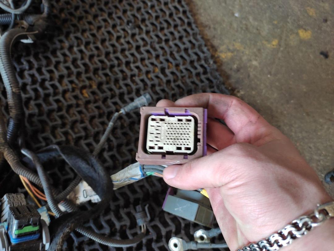 Проводка YWN8E0 Renault Laguna undefined