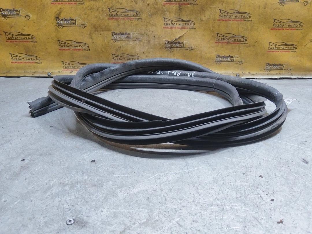 Уплотнитель двери задней левой ZXGZZ8 Renault Scenic купить на авторазборке