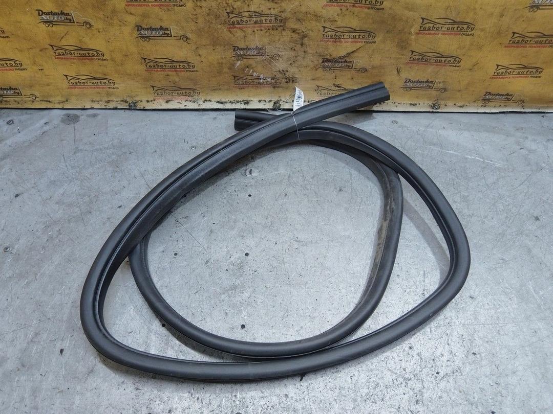 Уплотнитель двери задней правой 0IK2SX Ford Focus - Фото 3