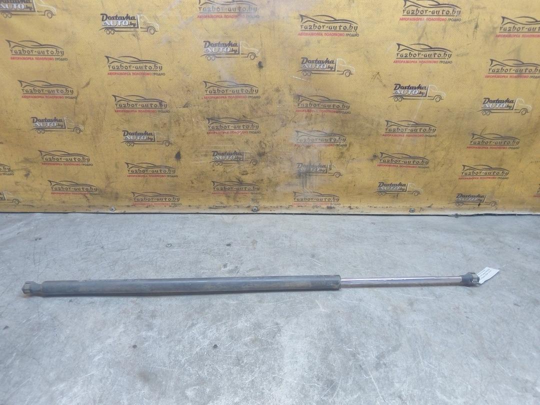 Амортизатор крышки багажника (3-5 двери) PAIOZ9 Renault Espace