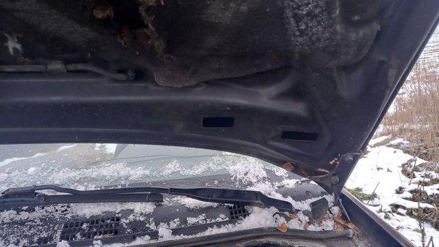 Петля капота ZM419V Mitsubishi Carisma купить