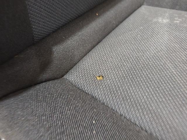 Сиденье заднее SNC0N0 Opel Zafira купить с доставкой. Огромный выбор салонов. У нас есть практически все.