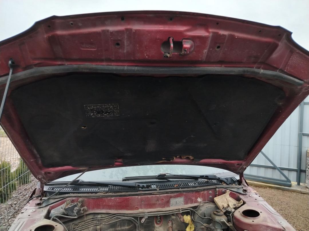 Амортизатор крышки багажника (3-5 двери) SHMUE9 Toyota Corolla - Фото 1