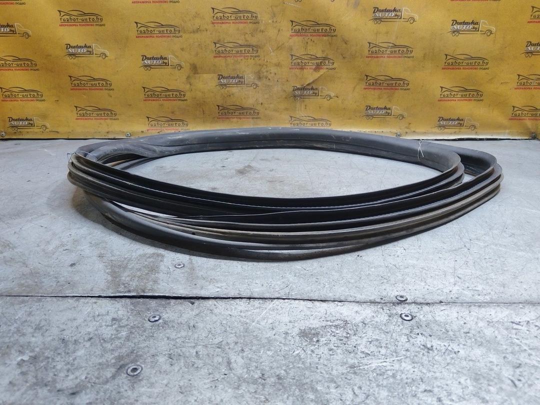 Уплотнитель двери передней левой 2T5JZY Skoda Fabia купить