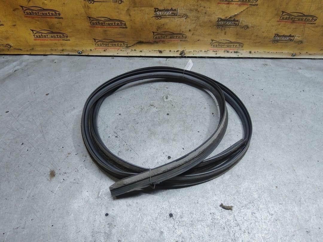 Уплотнитель NB1WV2 Citroen C3