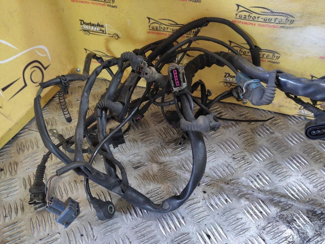 Проводка двигателя NUIZA0 Audi A4 купить с доставкой