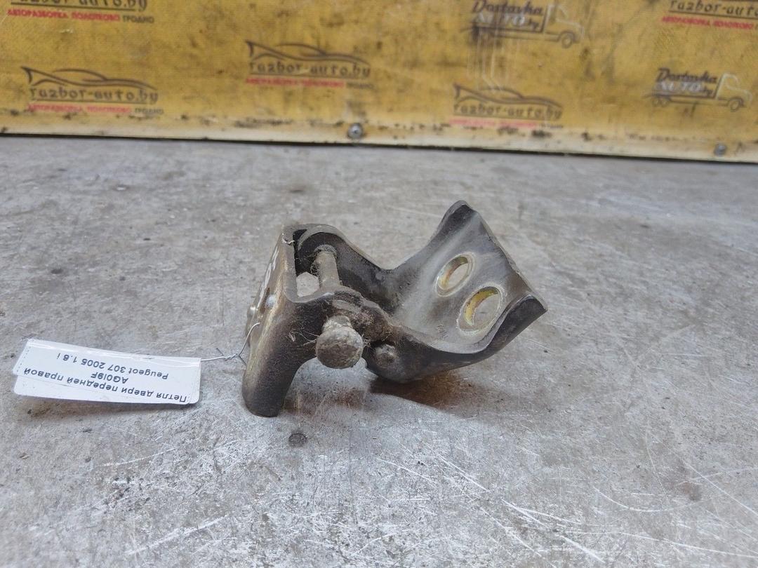 Петля двери передней правой AG0I9F Peugeot 307 купить в магазине запчастей бу