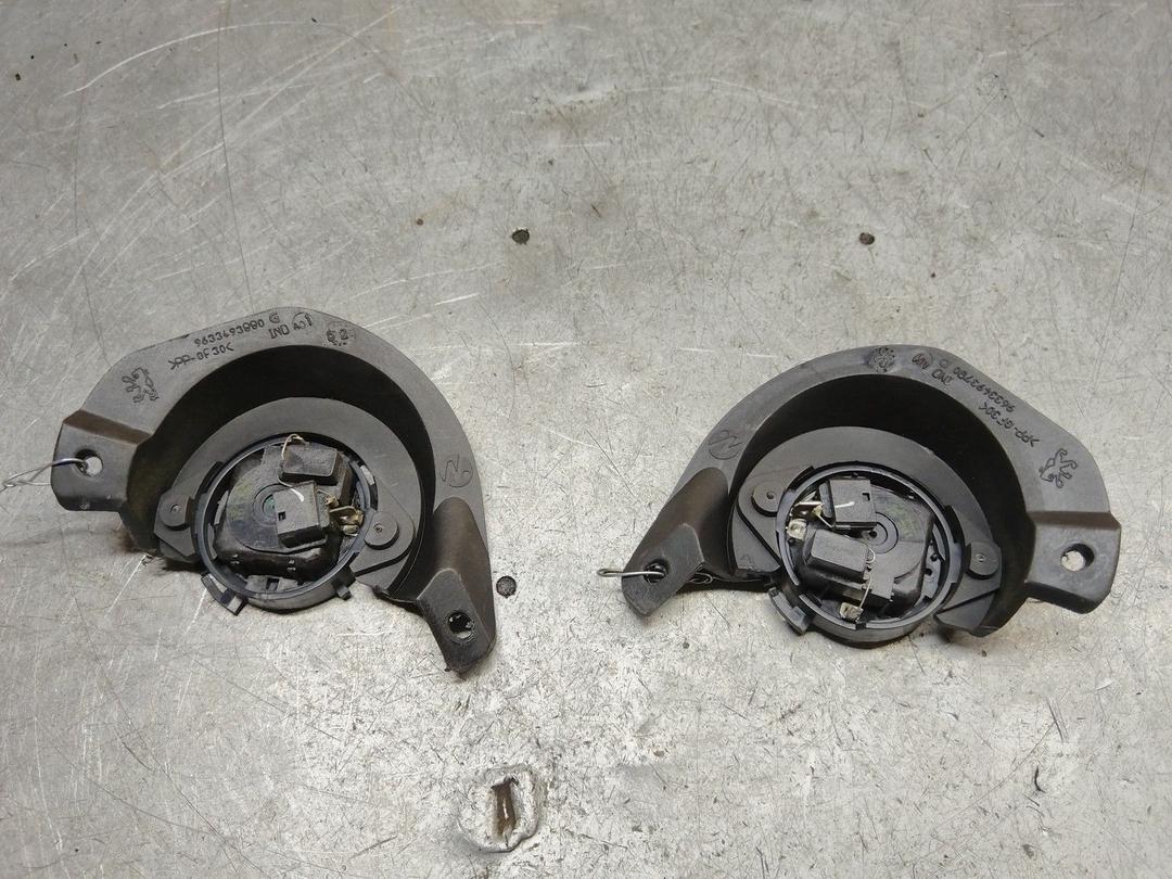 Пищалки 5ZLY2Y Peugeot 607 купить