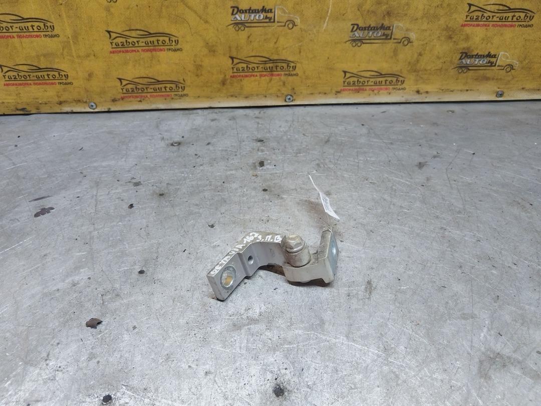 Петля двери задней правой 1BXVQT Skoda Octavia купить с доставкой