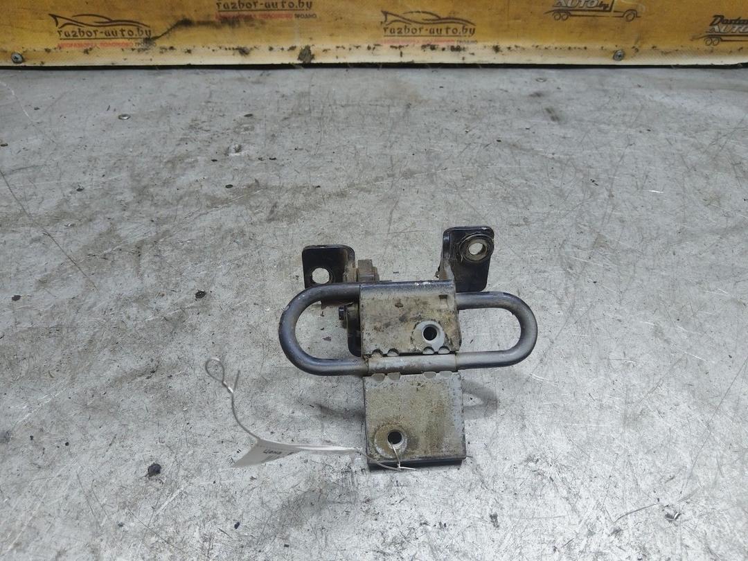 Петля двери задней правой YLYM8T Audi A4 купить с доставкой