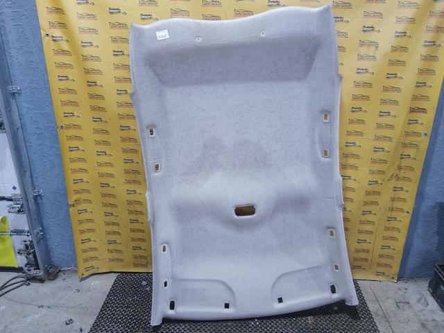 Потолок N2225C Citroen C3