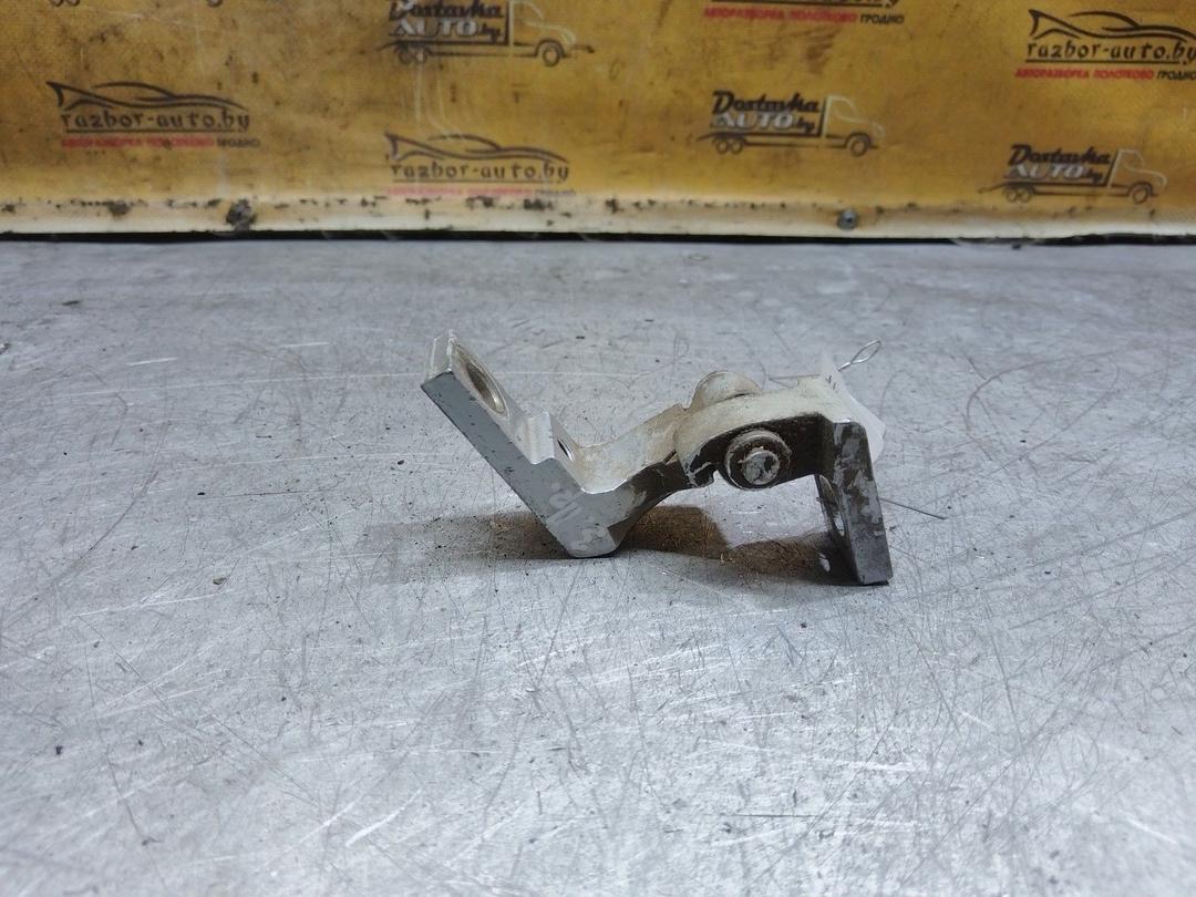 Петля двери задней правой 49SUKB Volkswagen Passat