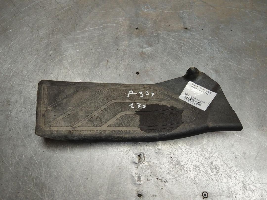 Пластик салона 3T8R8J Peugeot 307 - Фото 1