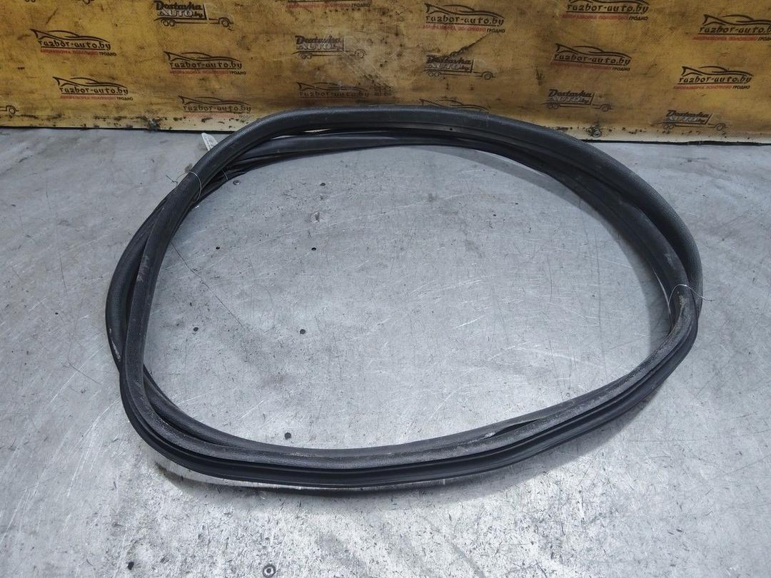 Уплотнитель двери задней левой 3BAG4F Citroen Xsara Picasso - Фото 3