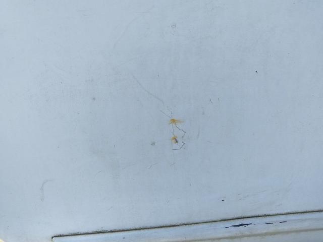 Дверь задняя правая FUKBP6 Nissan Note купить на авторазборке