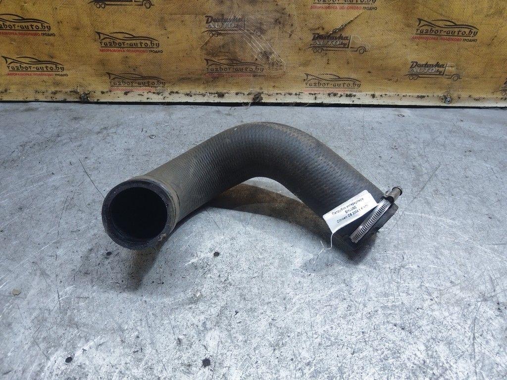 Патрубок интеркулера EHLUGC Citroen C5 - Фото 1