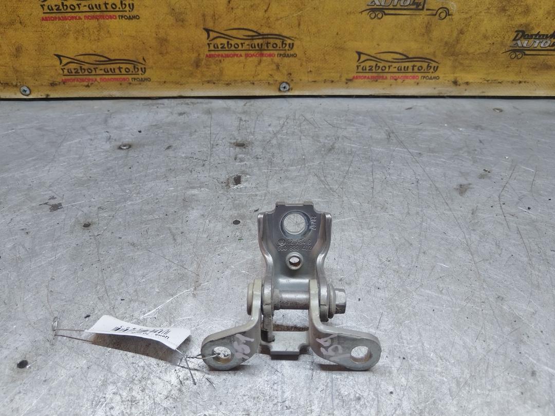 Петля двери задней правой TGZR4O Skoda Roomster купить с доставкой