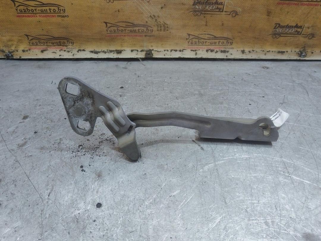 Петля капота левая PVZ8IL Citroen Xsara Picasso - Фото 1