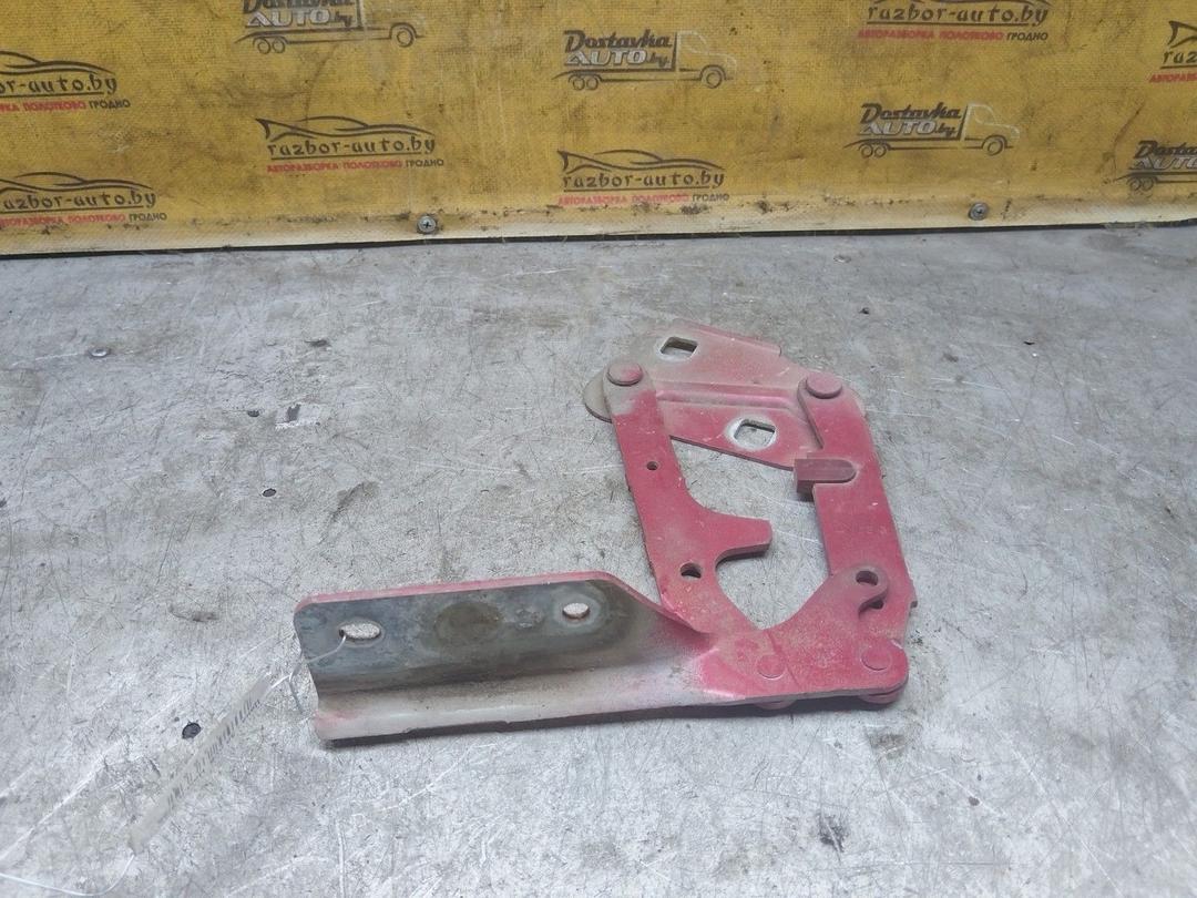 Петля капота левая SW3SO6 Peugeot 406 купить