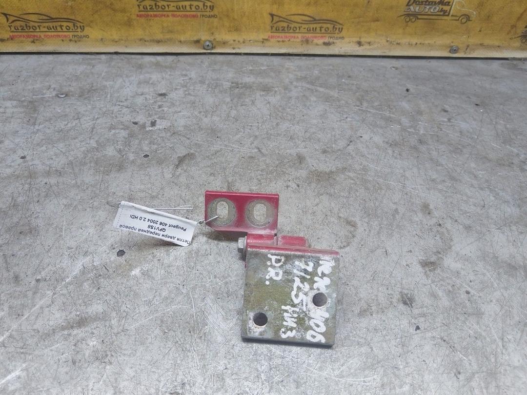 Петля двери передней правой QFV1S8 Peugeot 406 купить с доставкой