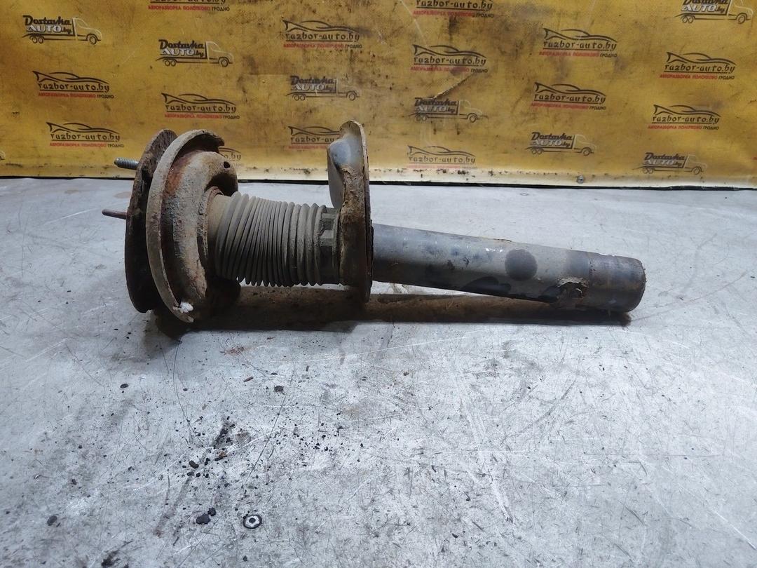 Амортизатор передний левый 4RS523 Peugeot 405 - Фото 4