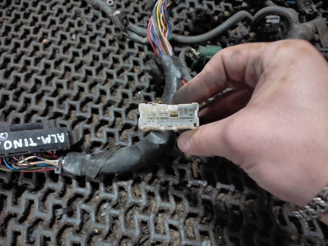 Проводка двигателя LHN1ET Nissan Almera Tino купить с доставкой