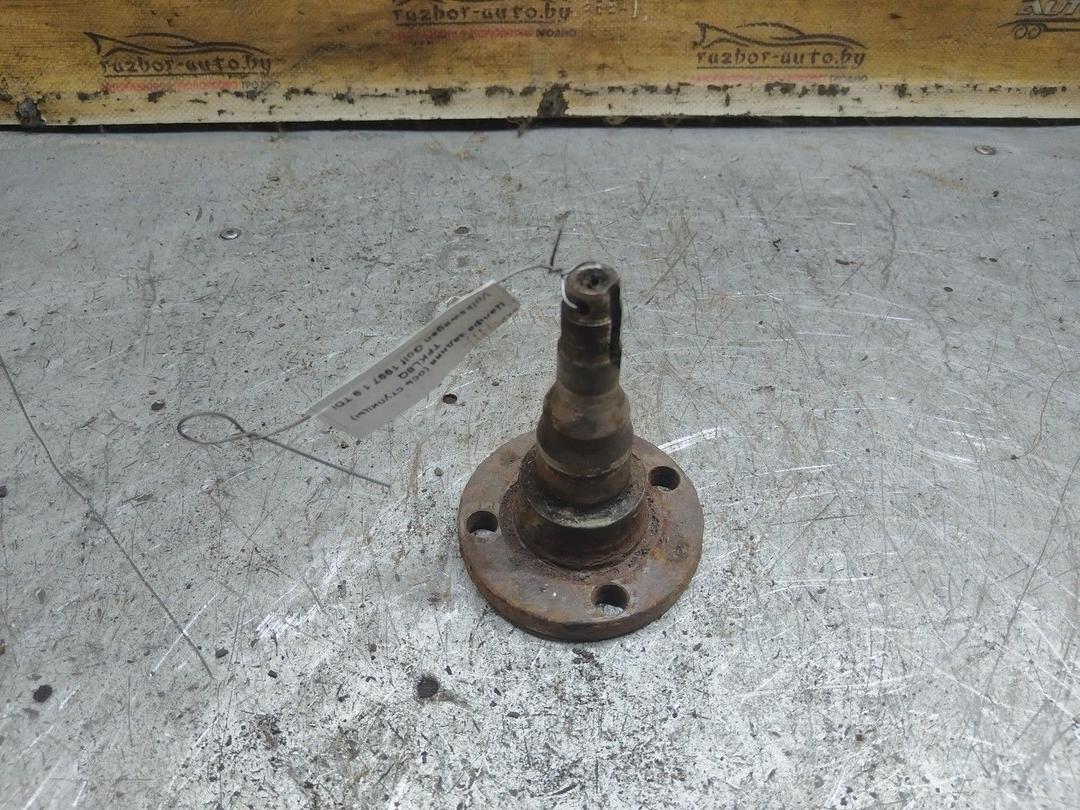 Цапфа задняя (ось ступицы) TFKL8Q Volkswagen Golf - Фото 2