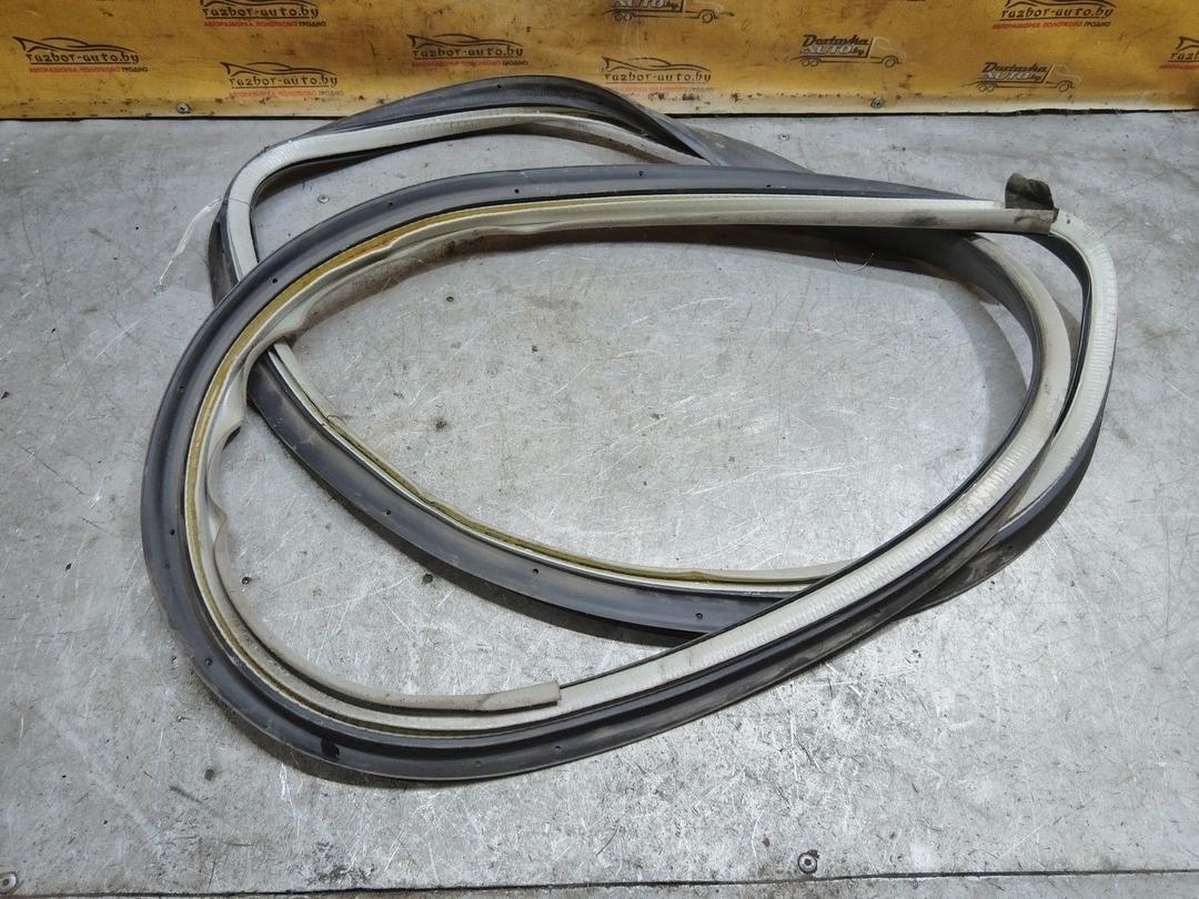 Уплотнитель двери задней левой 6SBCR2 Seat Toledo купить в магазине запчастей бу