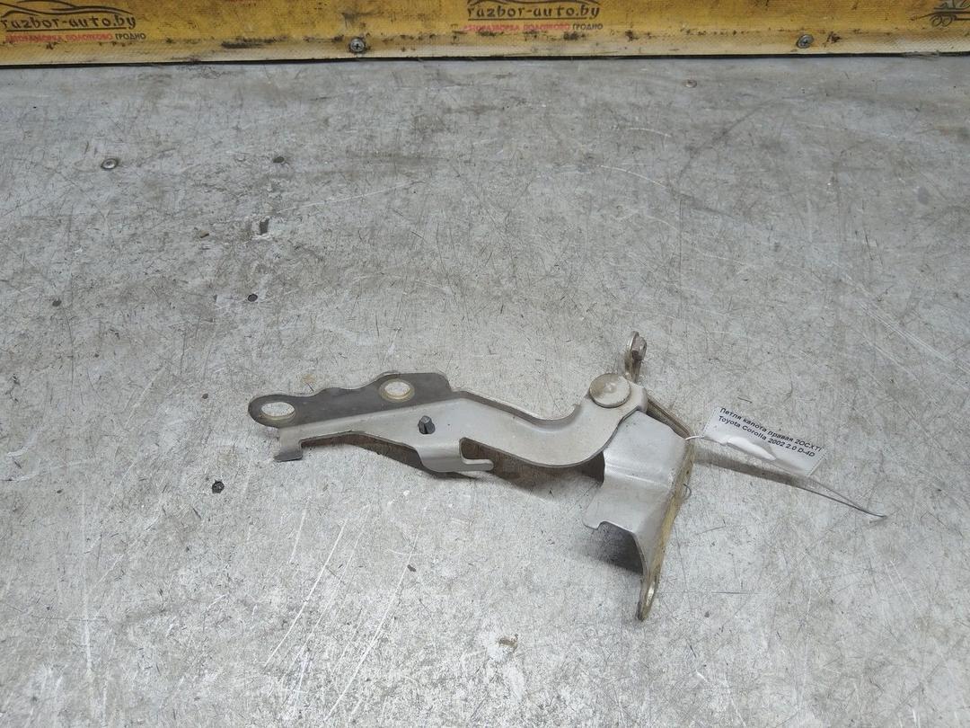 Петля капота правая 2OCXTI Toyota Corolla