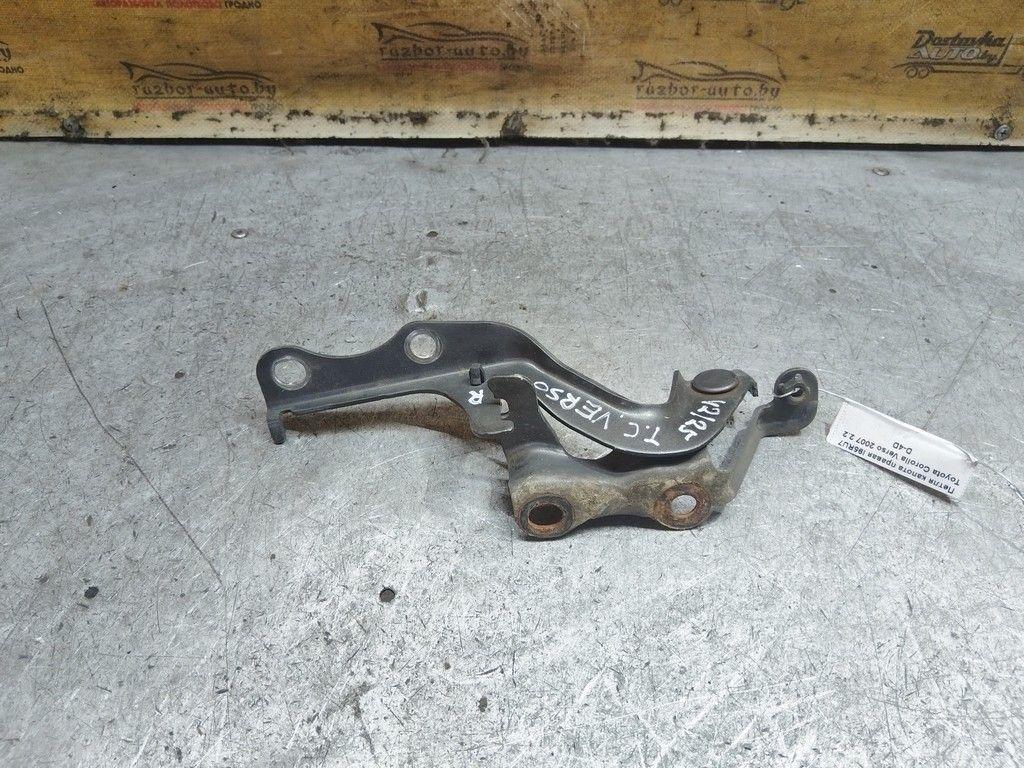 Петля капота правая I95RU7 Toyota Corolla Verso - Фото 3