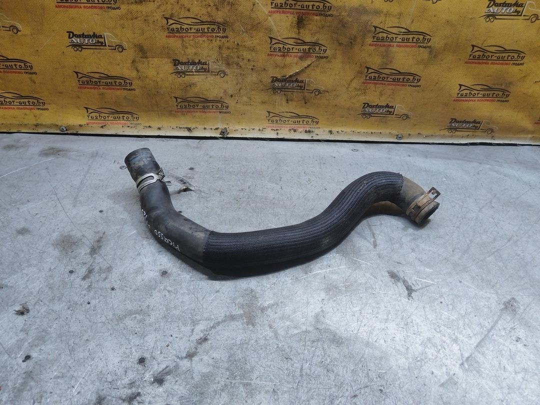 Патрубок радиатора 2JXGL8 Citroen Xsara Picasso - Фото 1