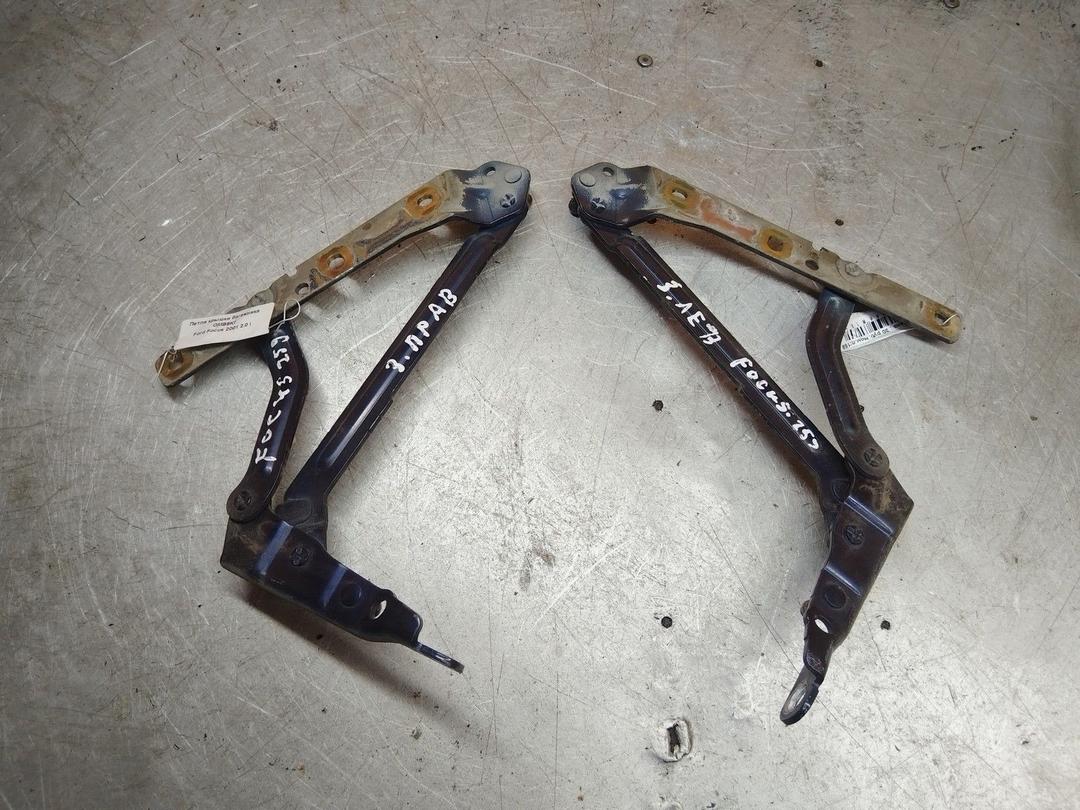 Петля крышки багажника OMB9KI Ford Focus купить на авторазборке