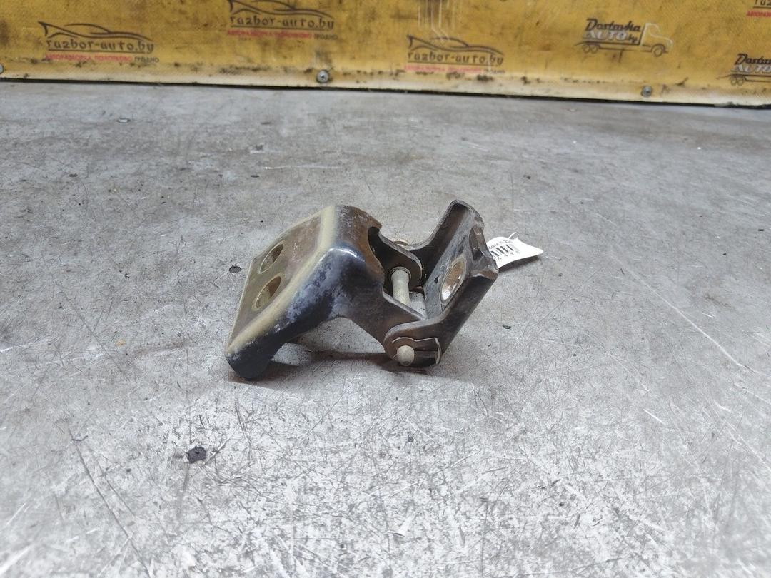 Петля двери задней левой PC5NBS Peugeot 307