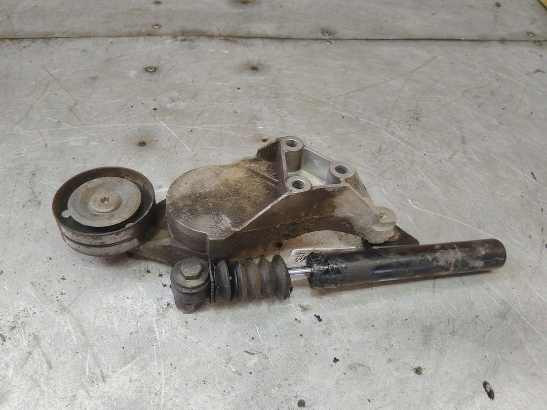 Натяжитель ремня генератора D81N8D Volkswagen Golf купить