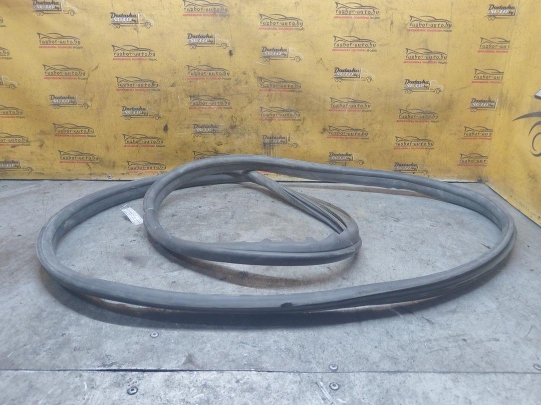 Уплотнитель двери задней левой RXT043 Skoda Roomster - Фото 3