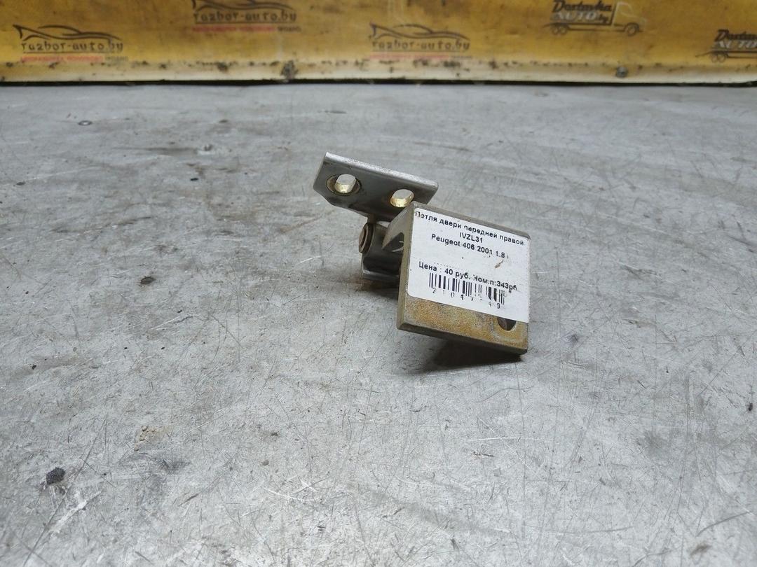 Петля двери передней правой IVZL31 Peugeot 406