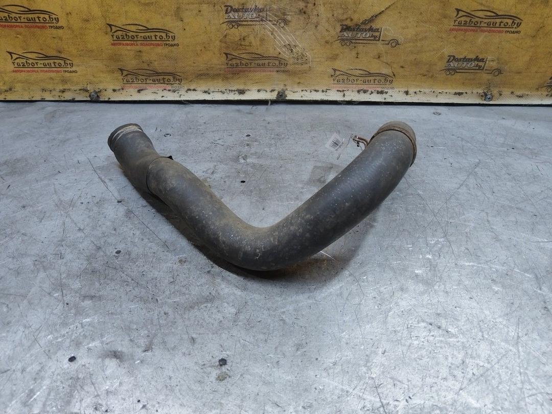 Патрубок радиатора 5GG7J5 Citroen Xantia - Фото 3