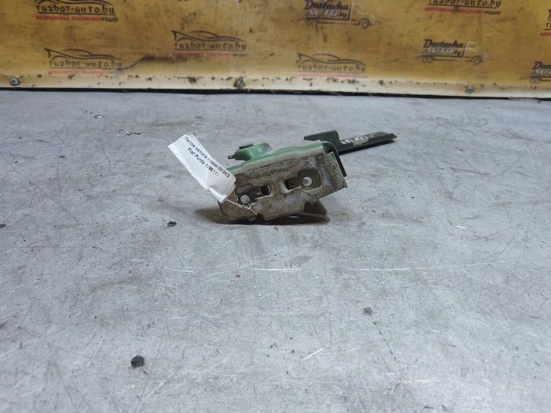 Петля капота правая 88K9K3 Fiat Punto купить в магазине запчастей бу