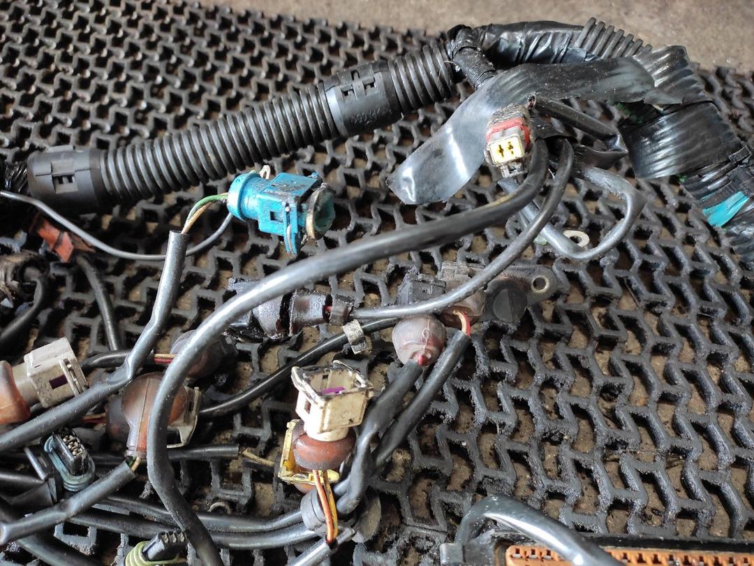 Проводка двигателя RX77T3 Peugeot 406 купить на авторазборке