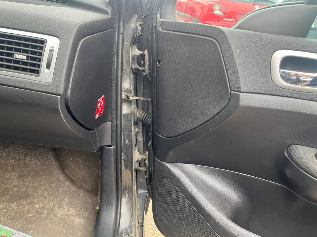 Петля двери передней правой B29D1E Peugeot 307