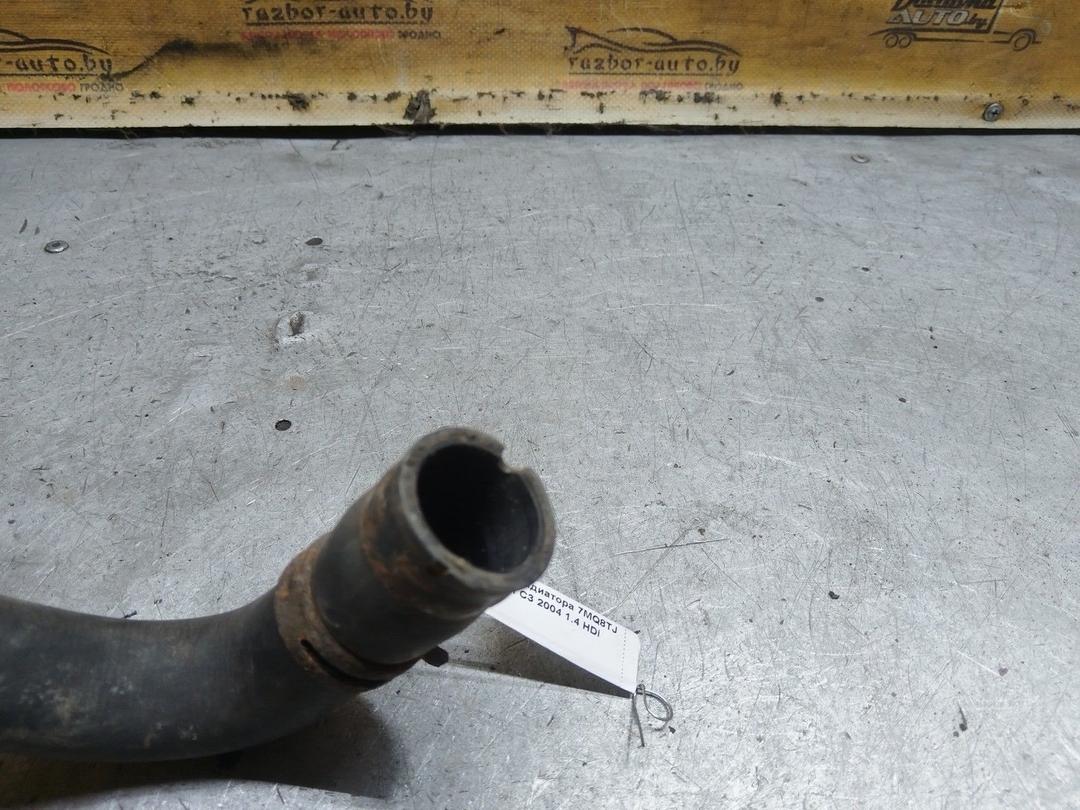 Патрубок радиатора 7MQ8TJ Citroen C3 купить в магазине запчастей бу