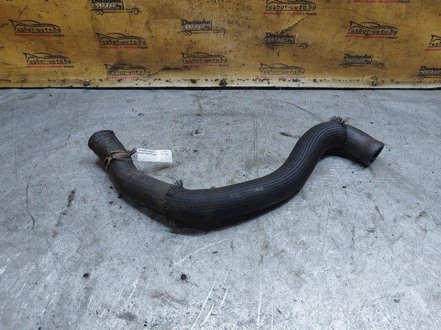 Патрубок радиатора 195H77 Citroen Xsara Picasso